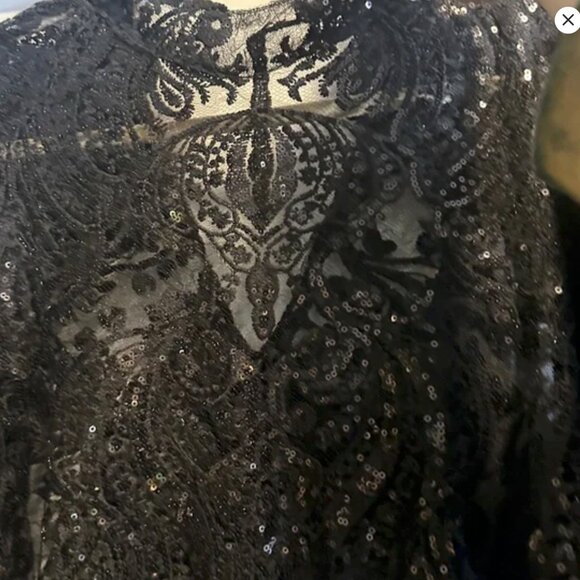 Eloquii Embellished Victorian Gothic Dress - Tortured Poets Society Vibe SZ 20 - Picture 5 of 5